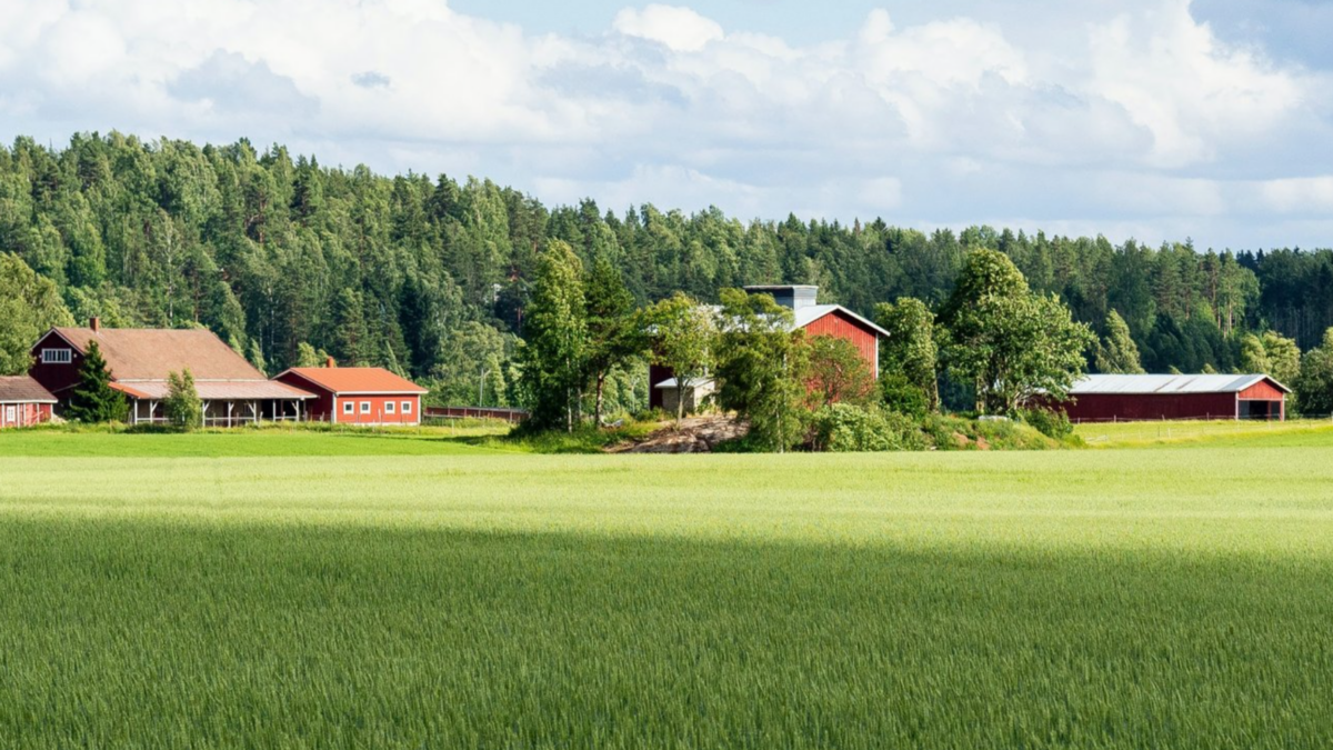 Tirer des enseignements des communautés rurales pour accroître la qualité dans l'environnement bâti.