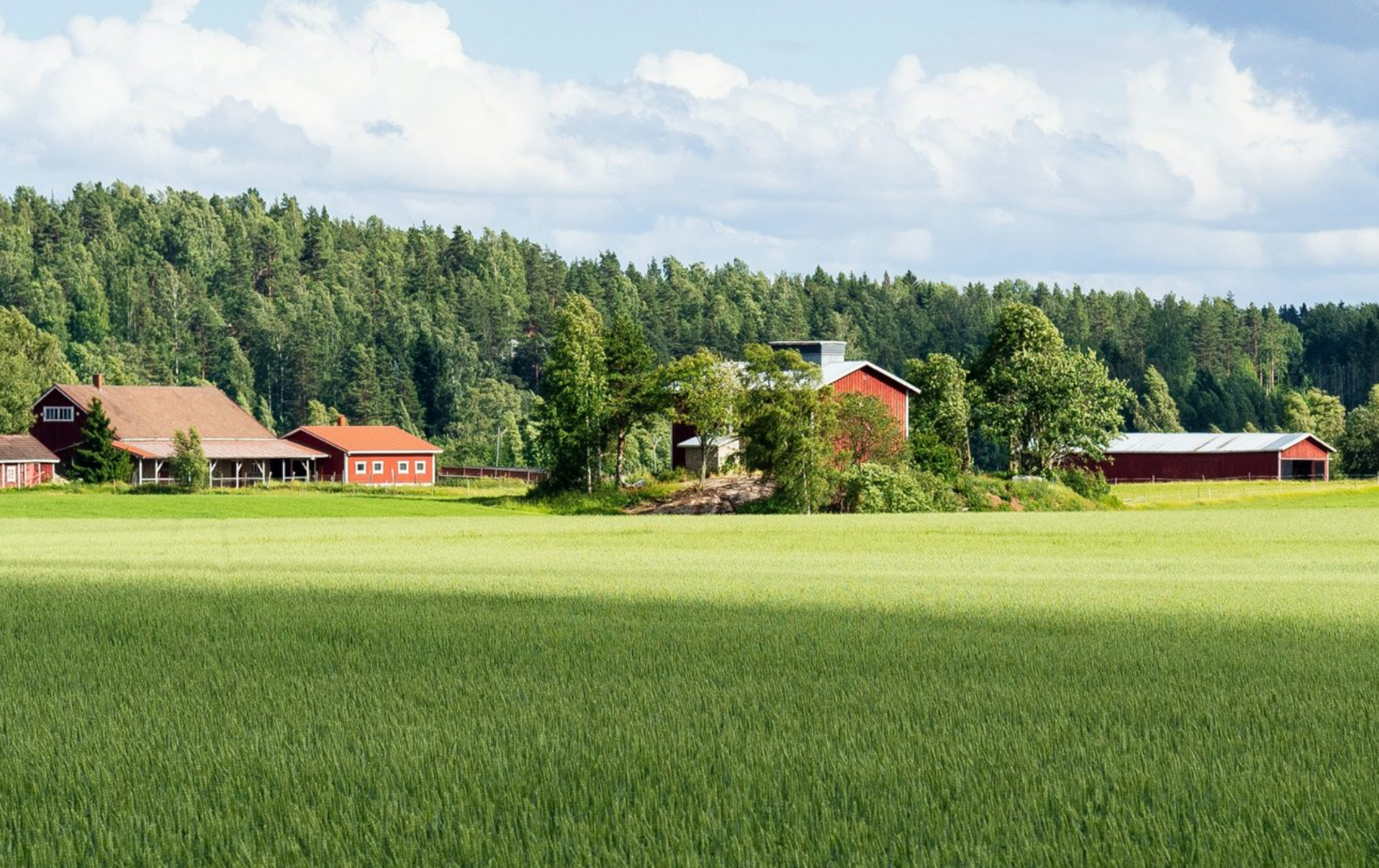 Gaining insights from rural communities to reach quality in the built environment.