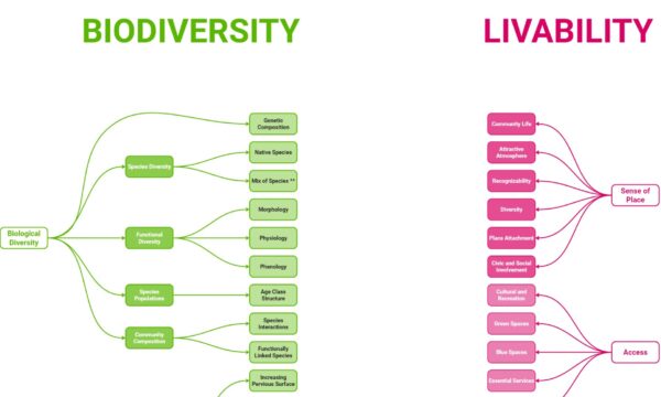 Exploration interdisciplinaire : Rapprocher la biodiversité et l'habitabilité pour améliorer les environnements urbains à Concordia