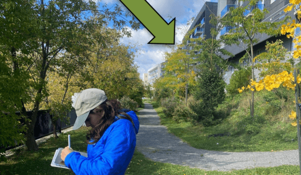 Recherche d'une infrastructure verte